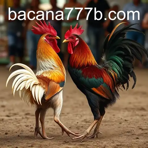 Exploring the Controversial World of Cockfighting